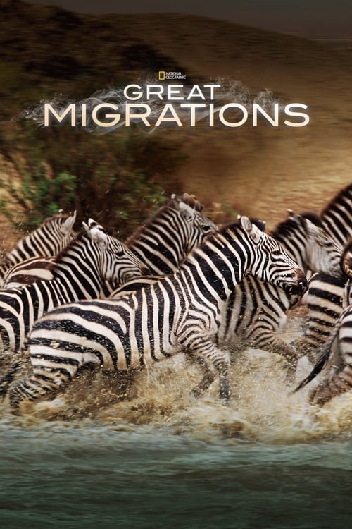 Great Migrations : 1.Sezon 4.Bölüm