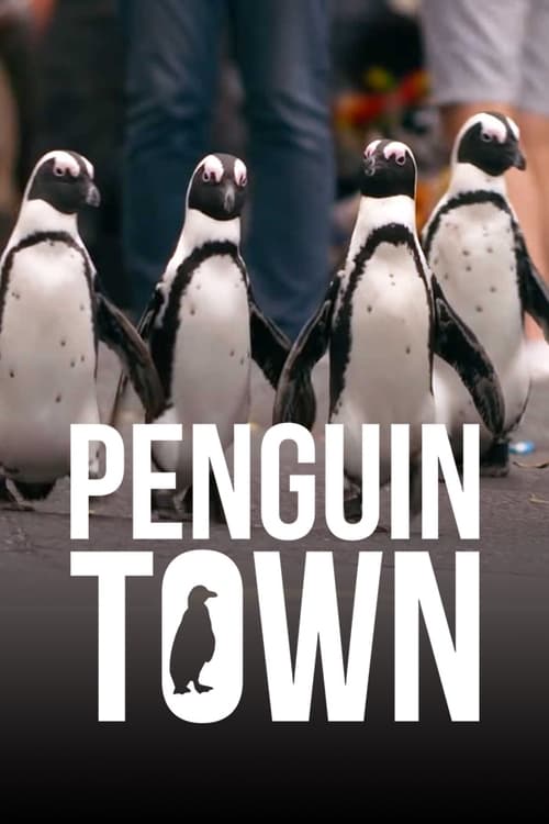 Penguin Town : 1.Sezon 7.Bölüm