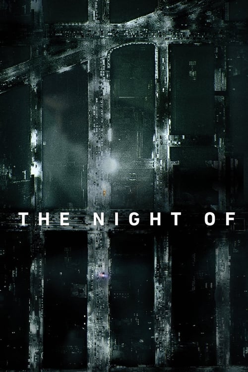 The Night Of : 1.Sezon 3.Bölüm