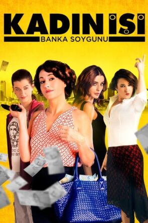 Kadın İşi Banka Soygunu (2014)